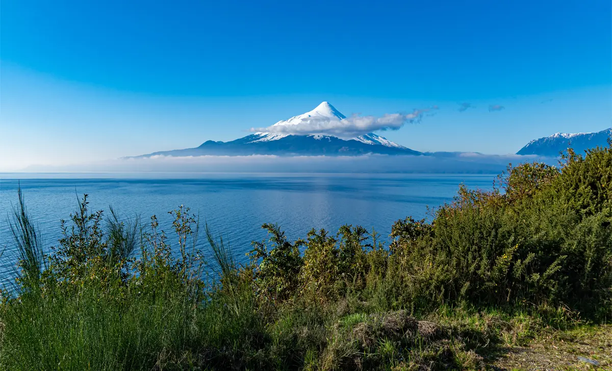 Imagen acerca de la plataforma
